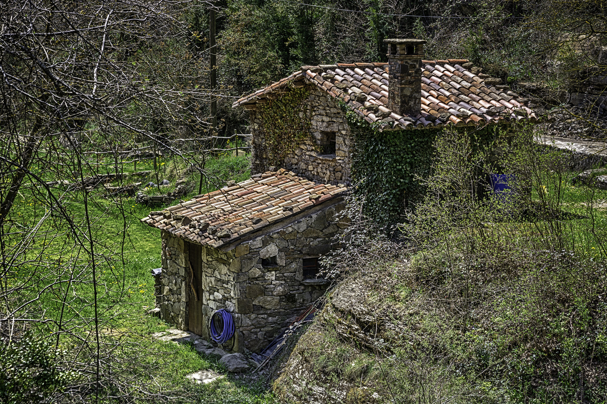 rupit4